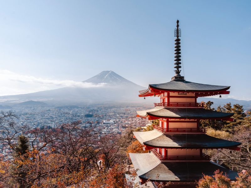 4-musim-di-jepang.jpg