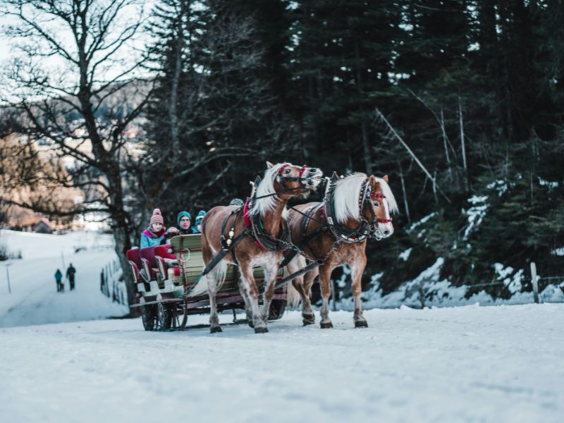 christmas-trips-for-family.jpg