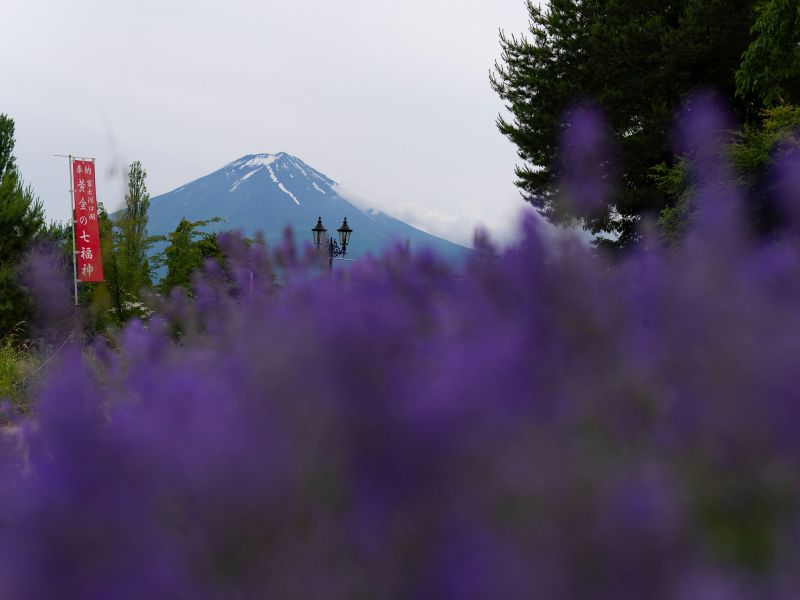 fuji-kawaguchiko.jpg