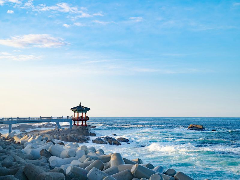 gangneung-tour.jpg
