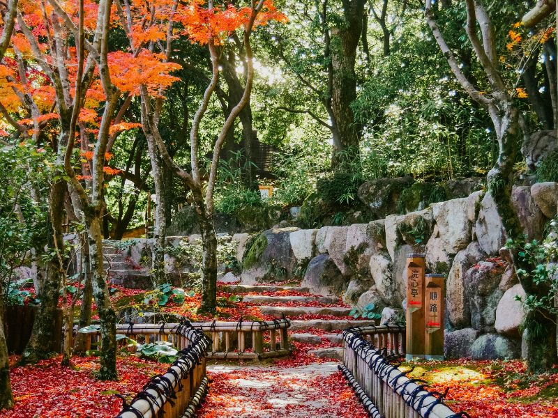 itinerary-jepang-muslim-friendly.jpg