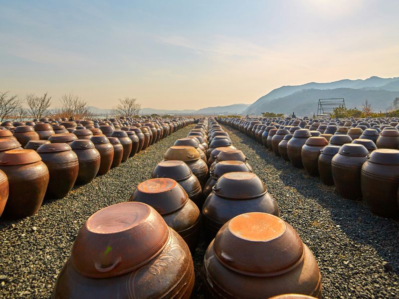 itinerary-tour-korea-callista.jpg