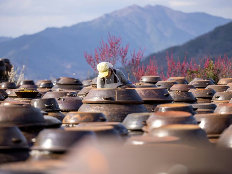 jasa-private-tour-korea.jpg