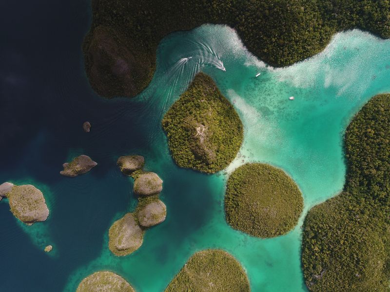 komodo-island-tour.jpg