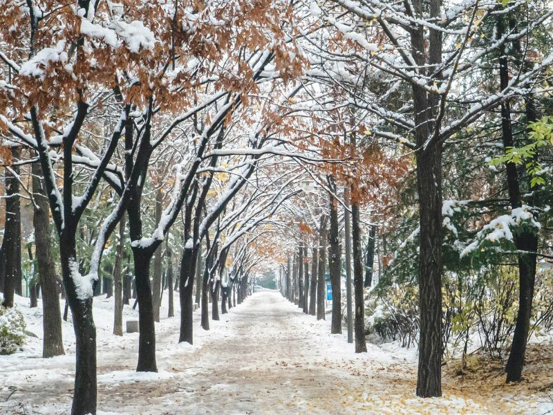 konsorsium-tour-korea.jpg