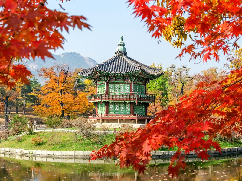 korea-private-tour.jpg
