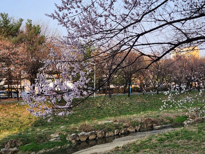 korea-tour-itinerary.jpg