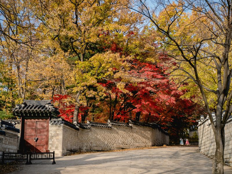 liburan-musim-gugur-di-korea.jpg