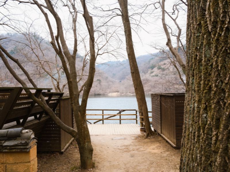 nami-island-korea-selatan.jpg