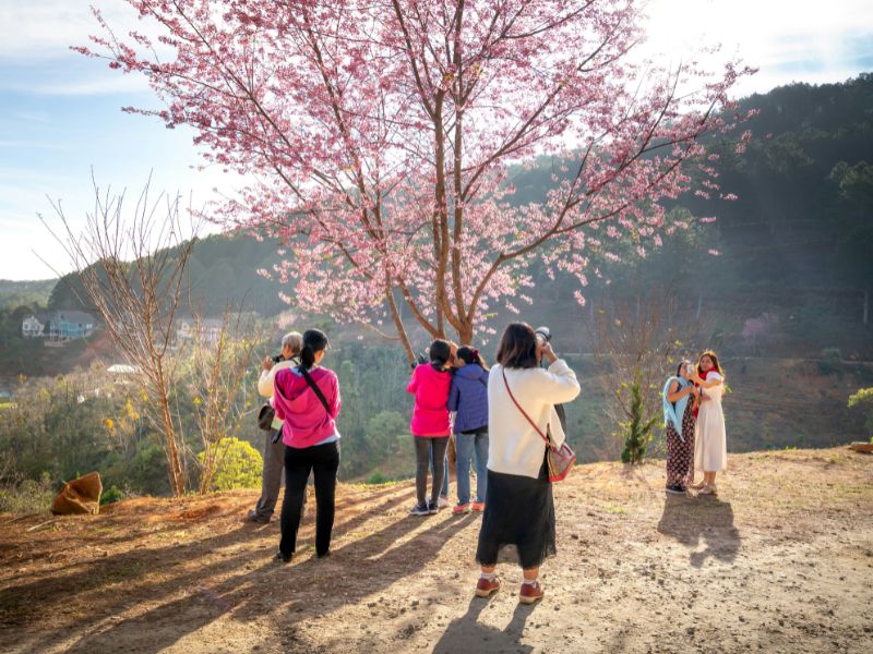pakaian-musim-semi-di-korea.jpg