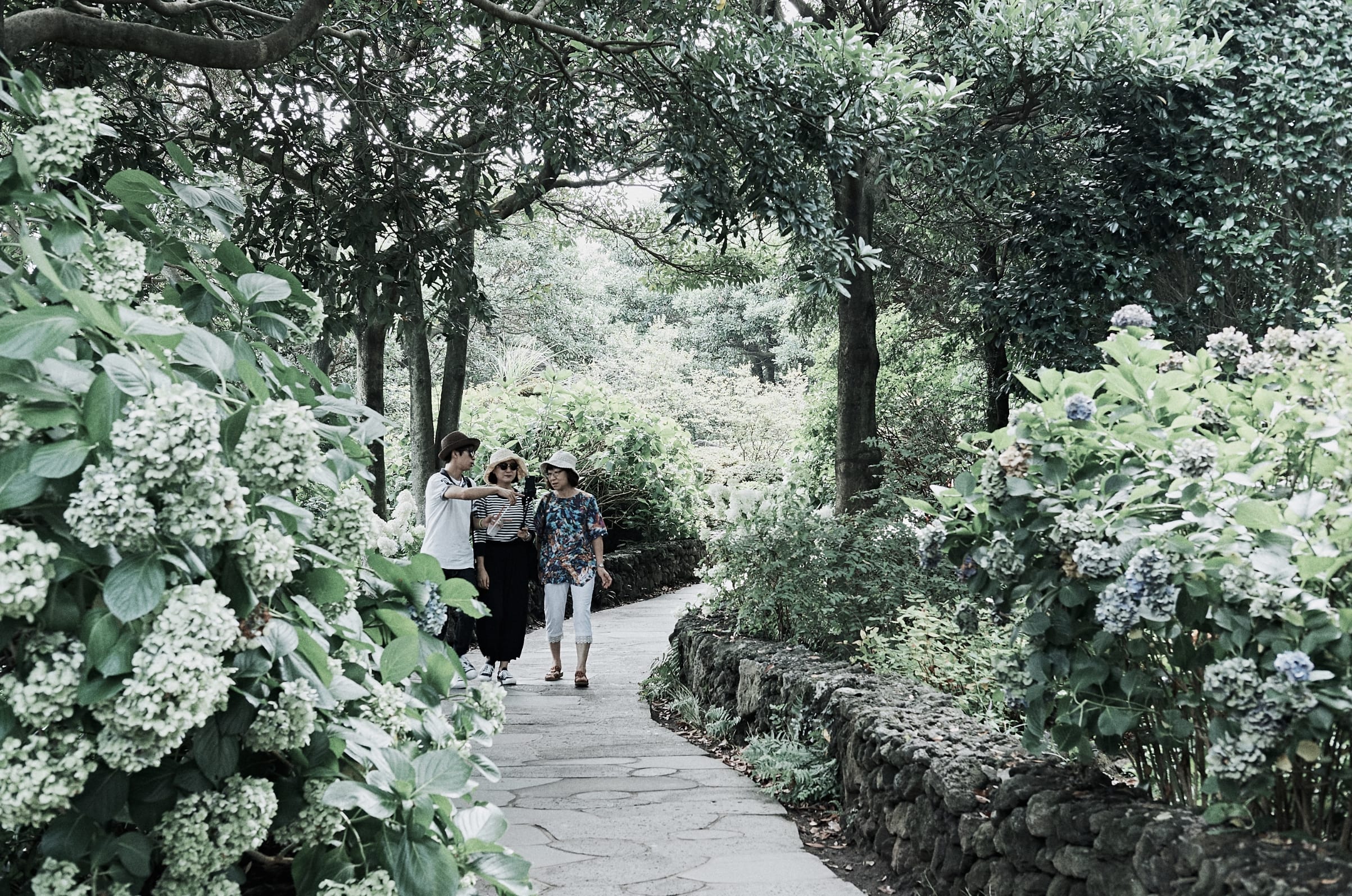 paket-tour-korea-2023-murah-all-in.jpg