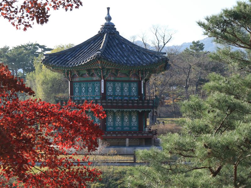paket-tour-korea-cherry-blossom-2025.jpg