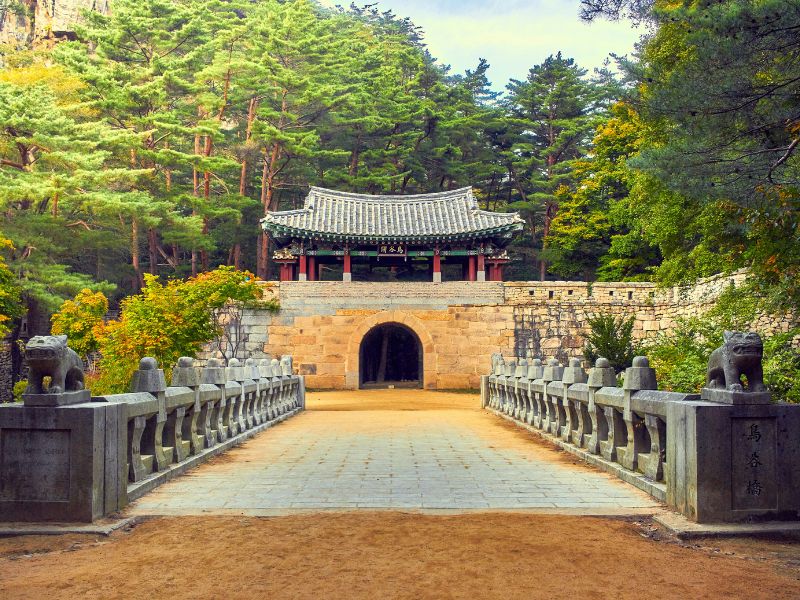 paket-tour-korea-musim-panas-2025.jpg
