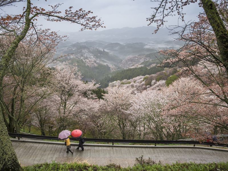 paket-tour-nara-park.jpg