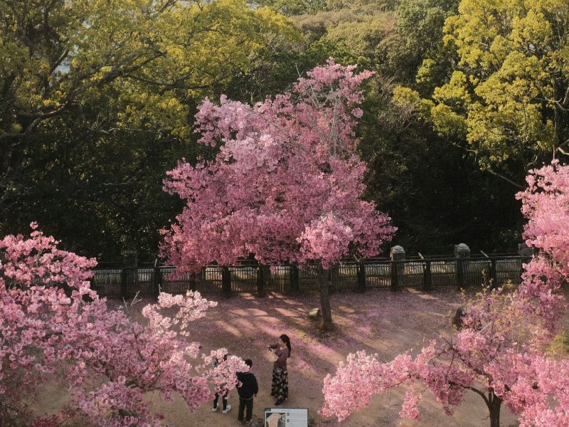 paket-tour-seoul-2026.jpg