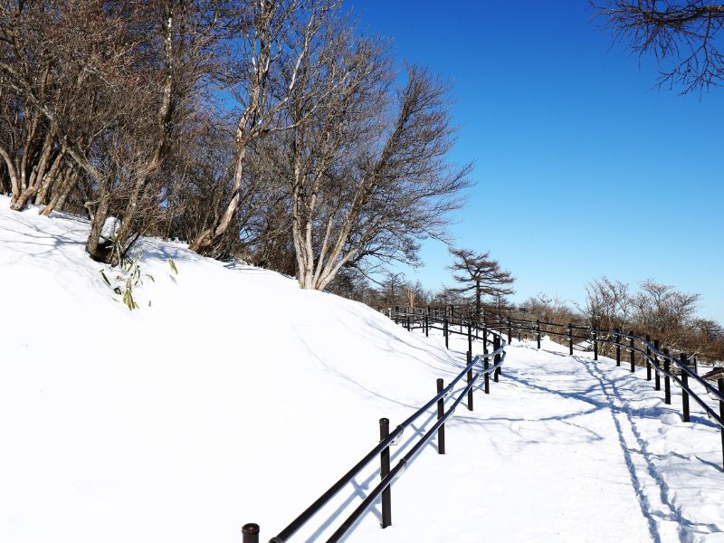 paket-wisata-jepang-desember-7h-winter-wonderland-kansai.jpg