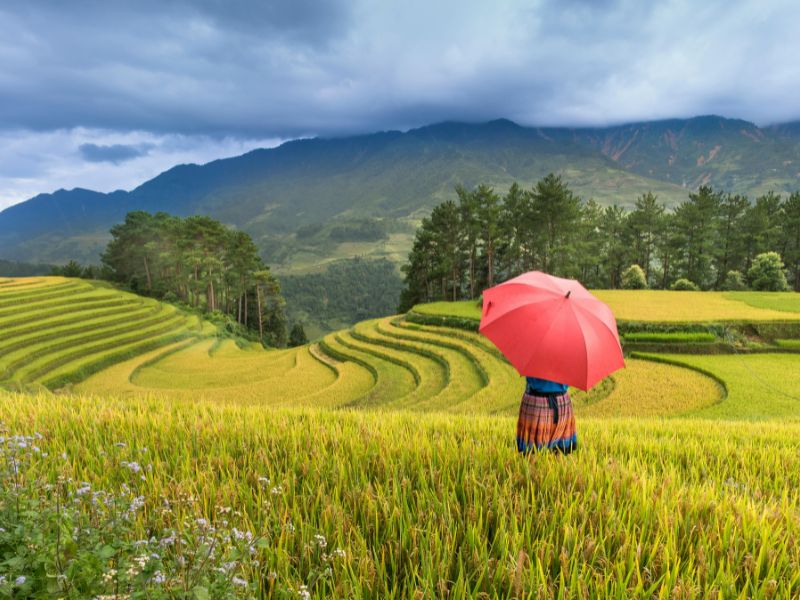 paket-wisata-ke-sapa-vietnam-2025.jpg