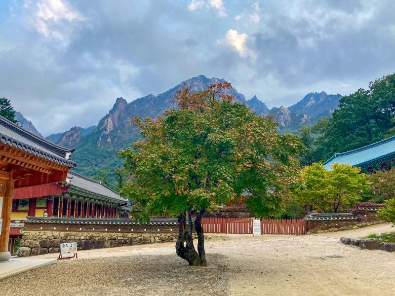 paket-wisata-korea-gangneung-dan-sokcho.jpg