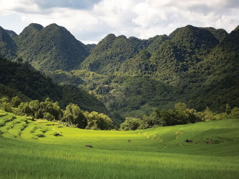 pu-luong-nature-reserve-vietnam.jpg