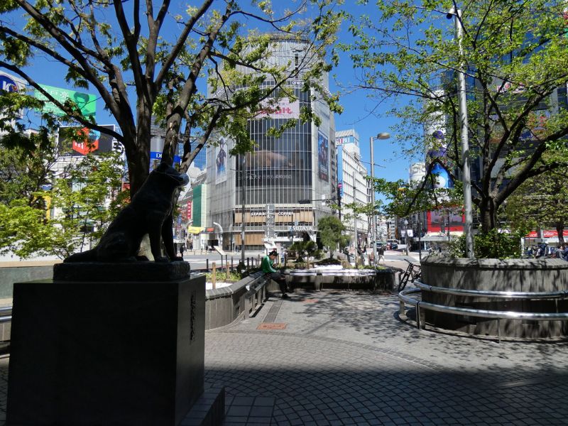 tempat-wisata-di-jepang-tokyo.jpg