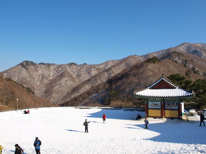 tempat-wisata-di-korea-selatan-saat-musim-dingin.jpg