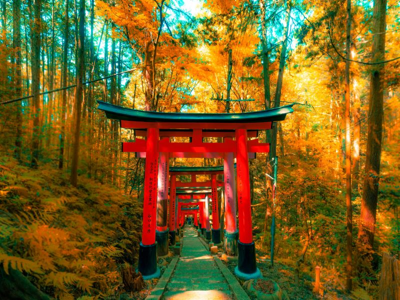 tour-jepang-lebaran-2026.jpg
