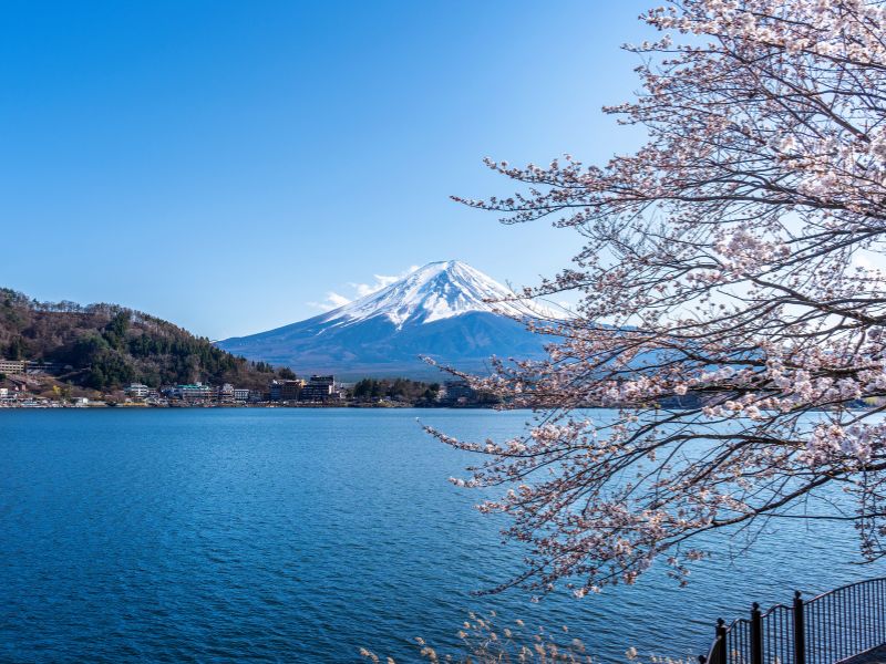 tour-jepang-tanpa-tiket-pesawat.jpg