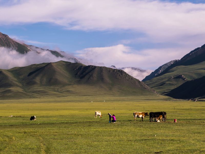tour-ke-xinjiang-china.jpg