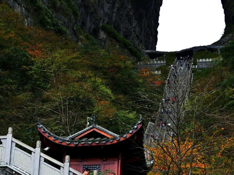 wisata-china-yang-lagi-viral.jpg