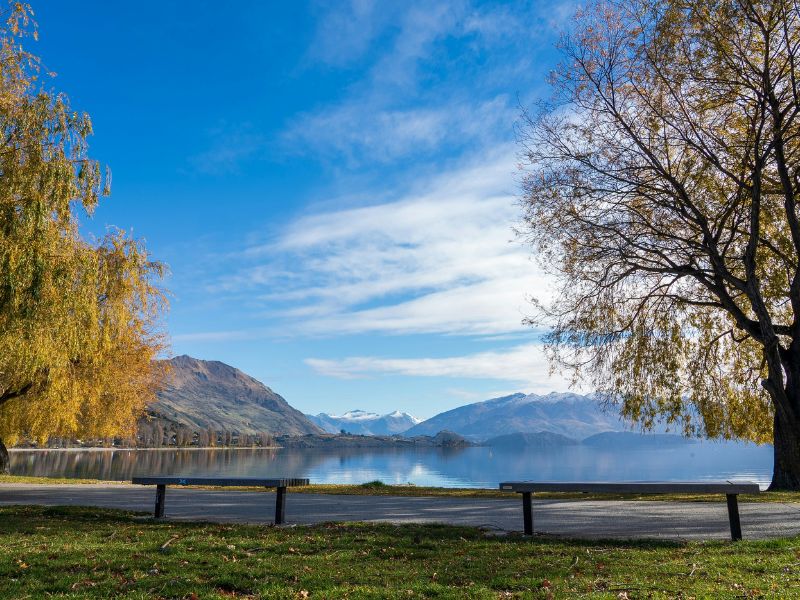 wisata-new-zealand.jpg
