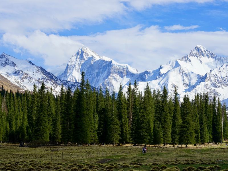 xinjiang-tour.jpg