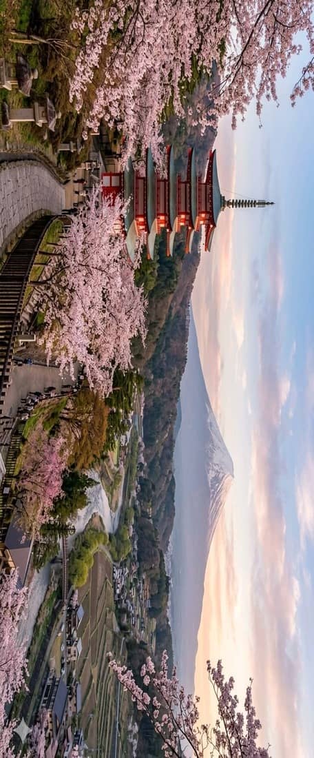 tour-jepang-2026