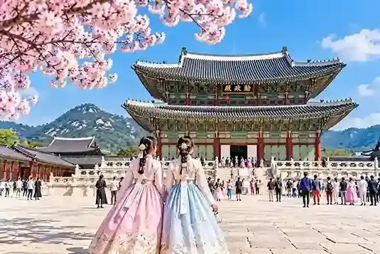 Dua wisatawan memakai hanbok di Istana Gyeongbokgung Palace, Seoul, Korea Selatan saat musim semi.