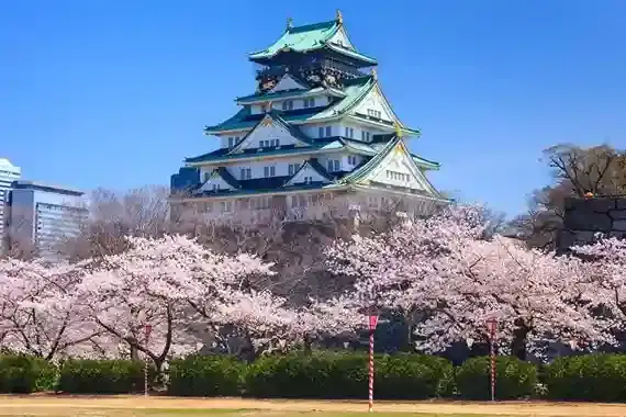 Paket tour Jepang 2026 di Osaka Castle, Osaka saat musim sakura dengan bunga cherry