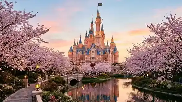 Shanghai Disneyland China saat musim semi, kastil Disney dan bunga sakura untuk Tour China 2027.
