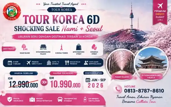 tour korea 6d Shocking sale Nami Island Seoul