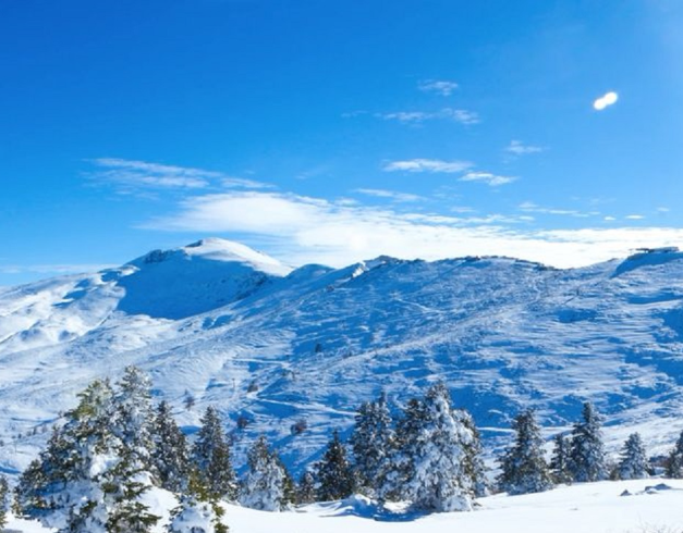 tour-turkey-10d-2026-special-uludag-limited-seat