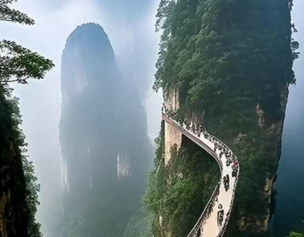 tour-china-2025-8d-wonderful-zhangjiajie-fenghuang-shanghai