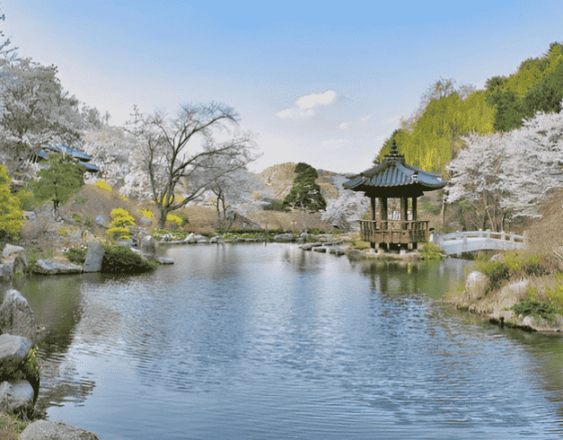 tour-korea-murah