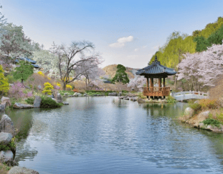 Tour Korea 6D 2026 Halal Super Promo + Brunei