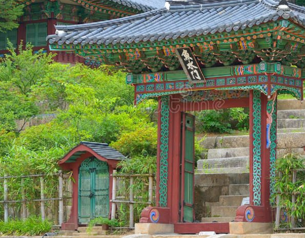 tour-korea-6d-2026-shocking-sale-nami-seoul