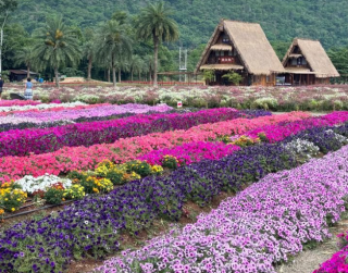 Tour Thailand 2026 2 Can Go 5D Bangkok Pattaya Khao Yai