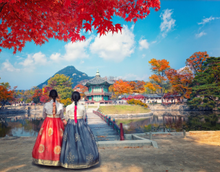 Tour Korea 2025 6D Summer Sale Korea