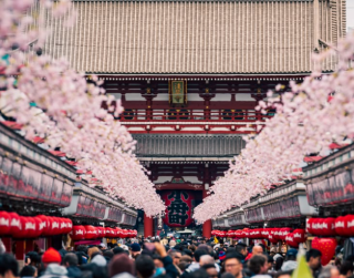 Tour Jepang 2026 6D School Holiday Tokyo Oishi + Disneyland