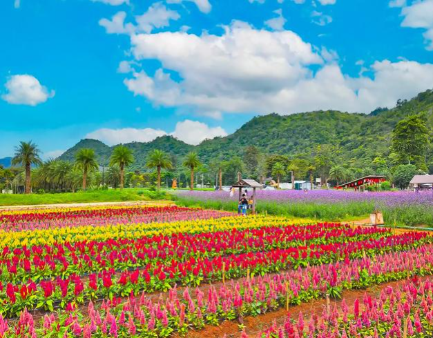 tour-thailand-land-tour-only-5d4n-bangkok-pattaya-khao-yai