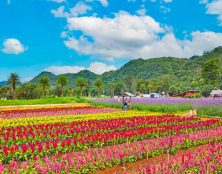 Tour Thailand Land Tour Only 5D4N Bangkok Pattaya Khao Yai