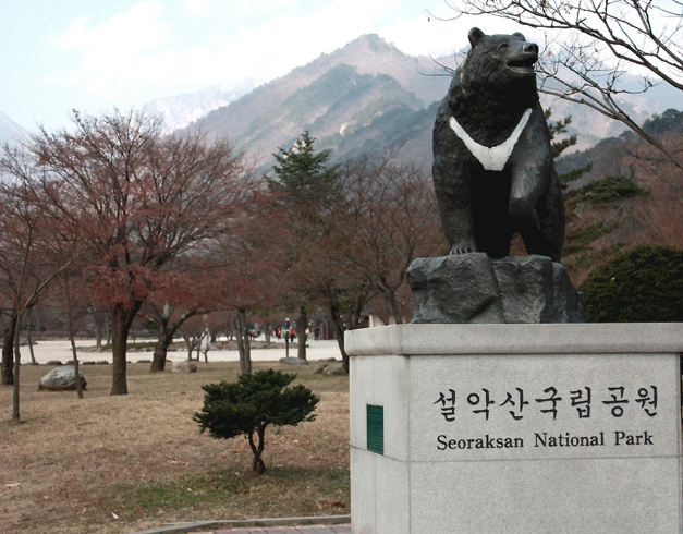 paket tour murah ke korea - paket tour murah ke korea