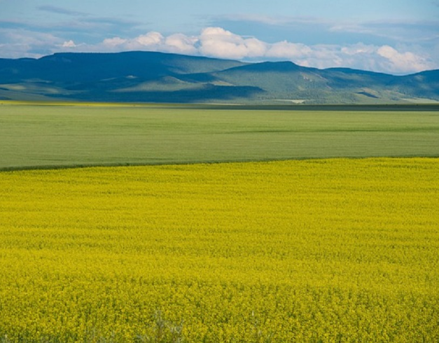 tour-china-10d8n-2025-inner-mongolia-haihua-island