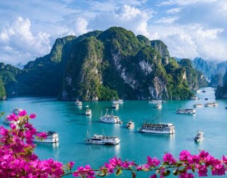 6D Delightful New Year Hanoi Halong Sapa