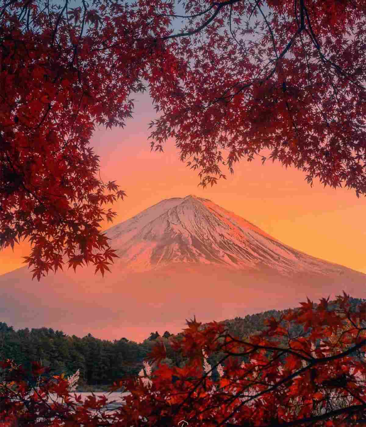 Tour Japan 7D Golden Route Autumn Edition 1